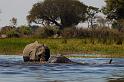 074 Okavango Delta, duikboot